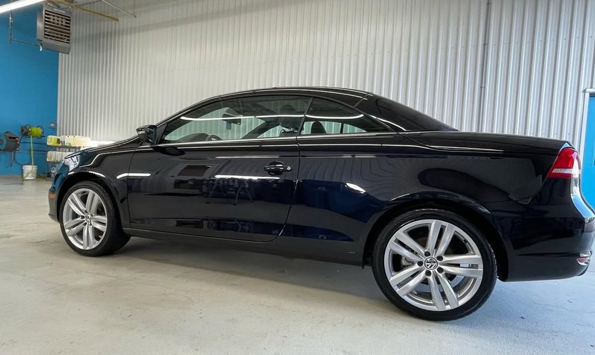 Guelph Auto Salon detailing work